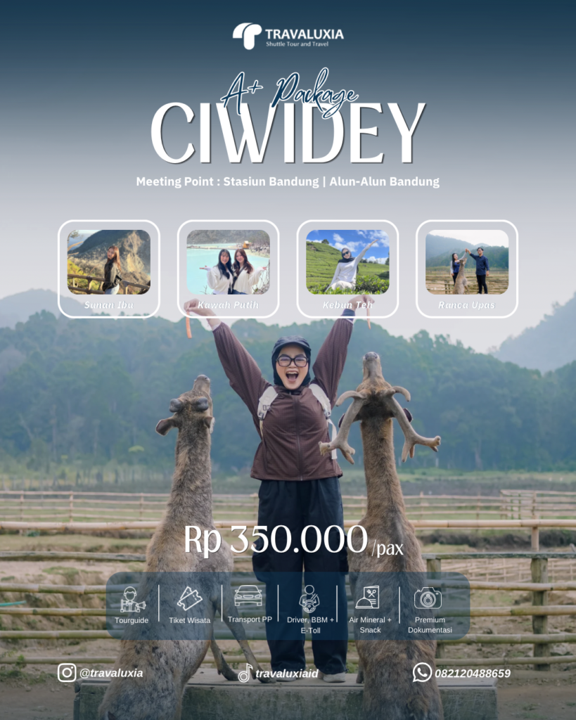 ot ciwidey a+