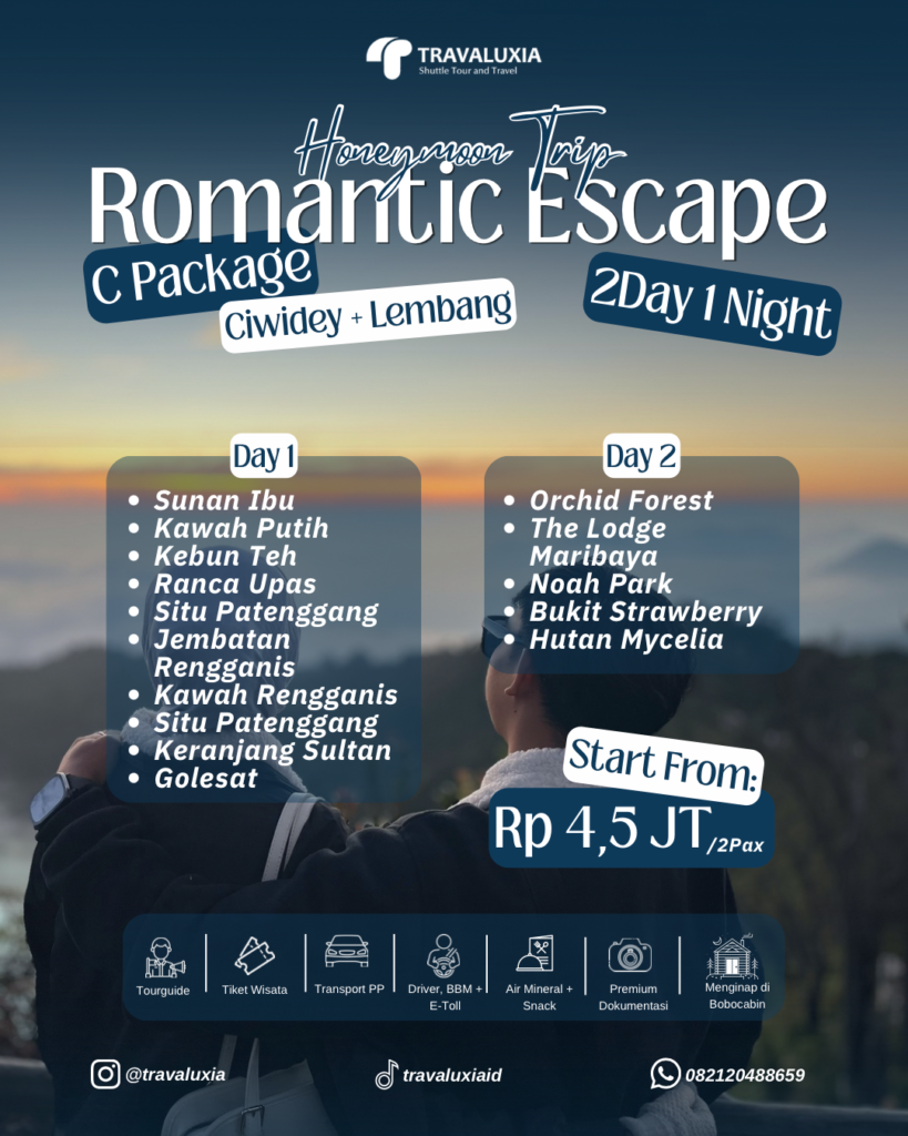 travaluxia honeymoon trip c
